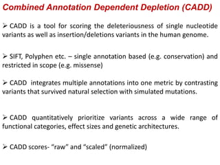 Slides | PPT
