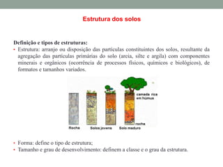 Definição e tipos de estruturas:
• Estrutura: arranjo ou disposição das partículas constituintes dos solos, resultante da
agregação das partículas primárias do solo (areia, silte e argila) com componentes
minerais e orgânicos (ocorrência de processos físicos, químicos e biológicos), de
formatos e tamanhos variados.
• Forma: define o tipo de estrutura;
• Tamanho e grau de desenvolvimento: definem a classe e o grau da estrutura.
Estrutura dos solos
 