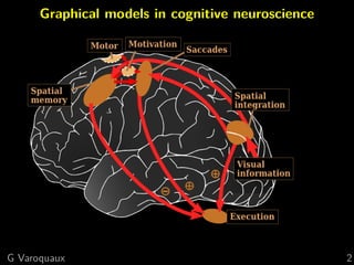 Graphical models in cognitive neuroscience
G Varoquaux 2
 