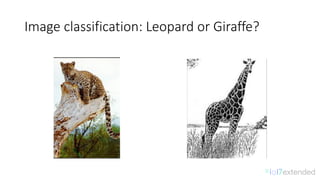 Image	classification:	Leopard	or	Giraffe?
 