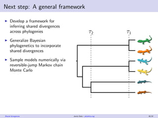 Next step: A general framework
Develop a framework for
inferring shared divergences
across phylogenies
Generalize Bayesian...