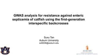Suxu Tan
Auburn University
szt0038@auburn.edu
GWAS analysis for resistance against enteric
septicemia of catfish using the first-generation
interspecific backcrosses
 