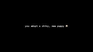 you adopt a shiny, new puppy 🐶
 