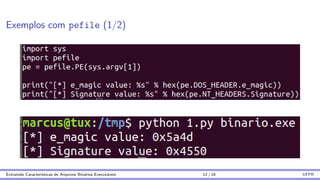 Exemplos com pefile (1/2)
Extraindo Caracterı́sticas de Arquivos Binários Executáveis 12 / 16 UFPR
 