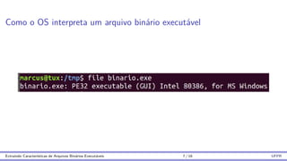 Como o OS interpreta um arquivo binário executável
Extraindo Caracterı́sticas de Arquivos Binários Executáveis 7 / 16 UFPR
 