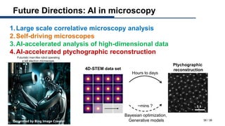 Characterizing the Heterogeneity of 2D Materials with Transmission Electron Microscopy and Machine Learning