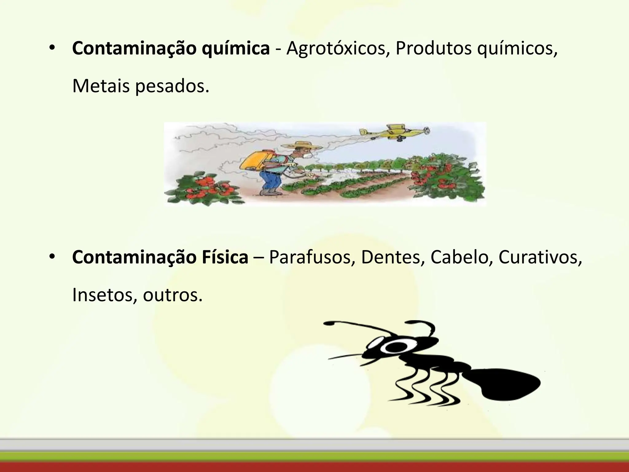 • Contaminação química - Agrotóxicos, Produtos químicos,
Metais pesados.
• Contaminação Física – Parafusos, Dentes, Cabelo, Curativos,
Insetos, outros.
 
