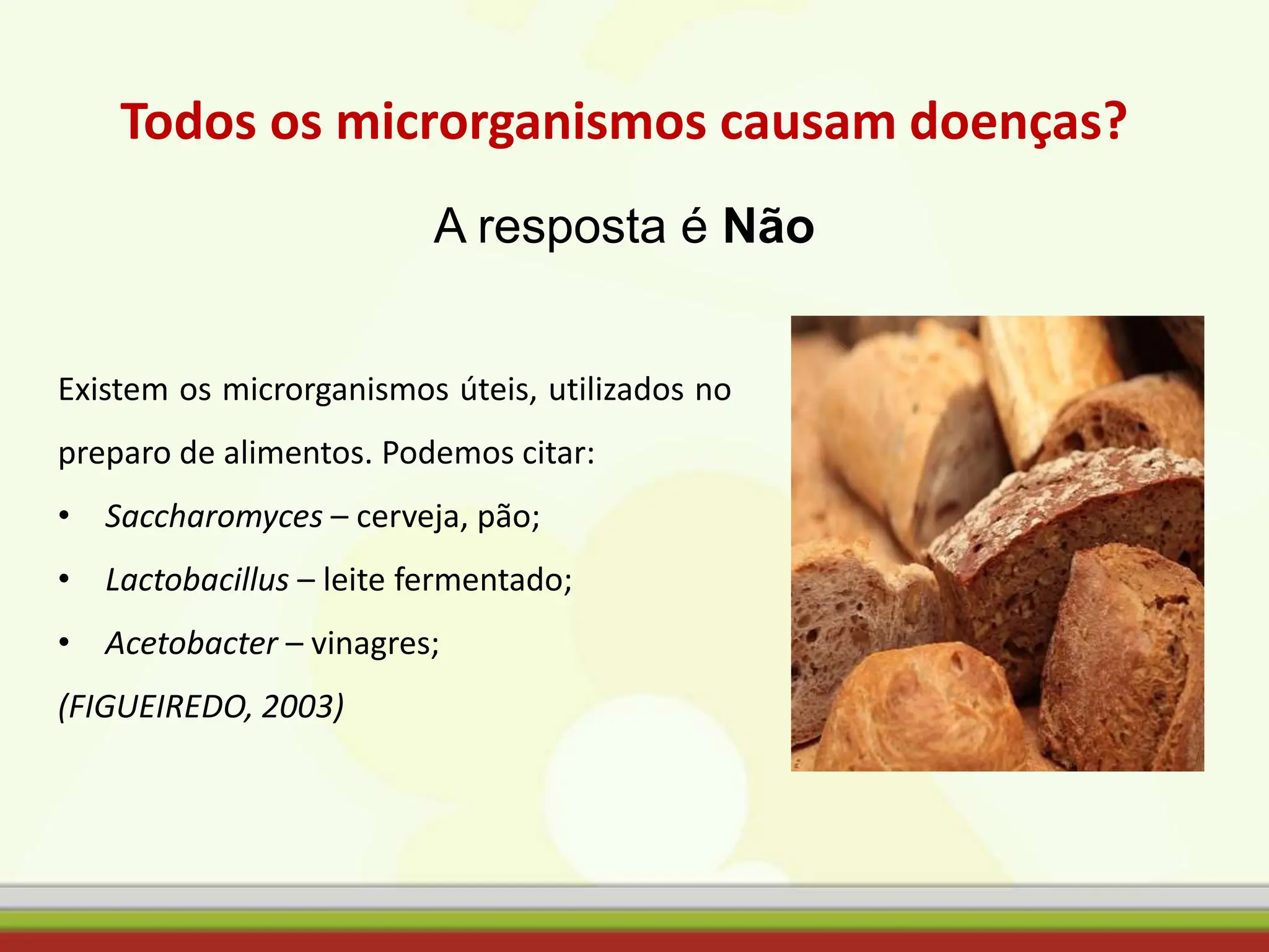 Todos os microrganismos causam doenças?
A resposta é Não
Existem os microrganismos úteis, utilizados no
preparo de alimentos. Podemos citar:
• Saccharomyces – cerveja, pão;
• Lactobacillus – leite fermentado;
• Acetobacter – vinagres;
(FIGUEIREDO, 2003)
 