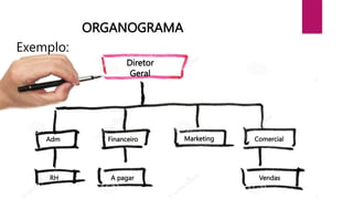 ORGANOGRAMA
Exemplo:
Diretor
Geral
Adm Financeiro Comercial
Marketing
A pagar Vendas
RH
 