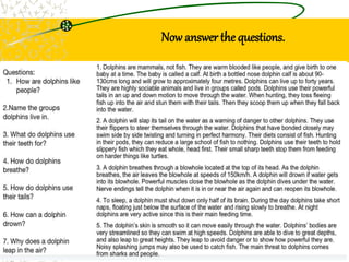 Now answer the questions.
 