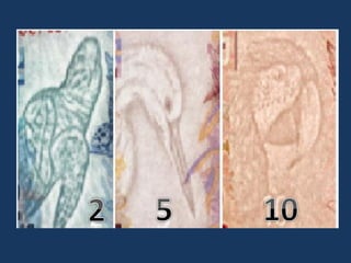 Slides do curso de educação infantil .pdf