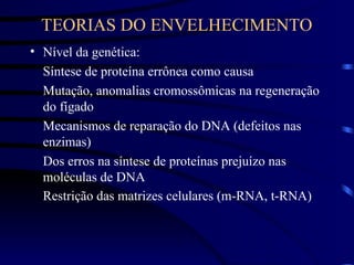 TEORIAS DO ENVELHECIMENTO
• Nível da genética:
Síntese de proteína errônea como causa
Mutação, anomalias cromossômicas na regeneração
do fígado
Mecanismos de reparação do DNA (defeitos nas
enzimas)
Dos erros na síntese de proteínas prejuízo nas
moléculas de DNA
Restrição das matrizes celulares (m-RNA, t-RNA)
 