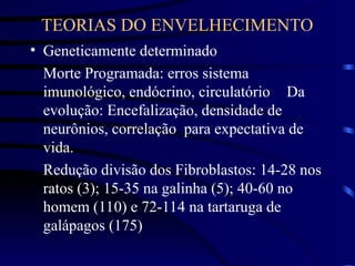 TEORIAS DO ENVELHECIMENTO
• Geneticamente determinado
Morte Programada: erros sistema
imunológico, endócrino, circulatório Da
evolução: Encefalização, densidade de
neurônios, correlação para expectativa de
vida.
Redução divisão dos Fibroblastos: 14-28 nos
ratos (3); 15-35 na galinha (5); 40-60 no
homem (110) e 72-114 na tartaruga de
galápagos (175)
 