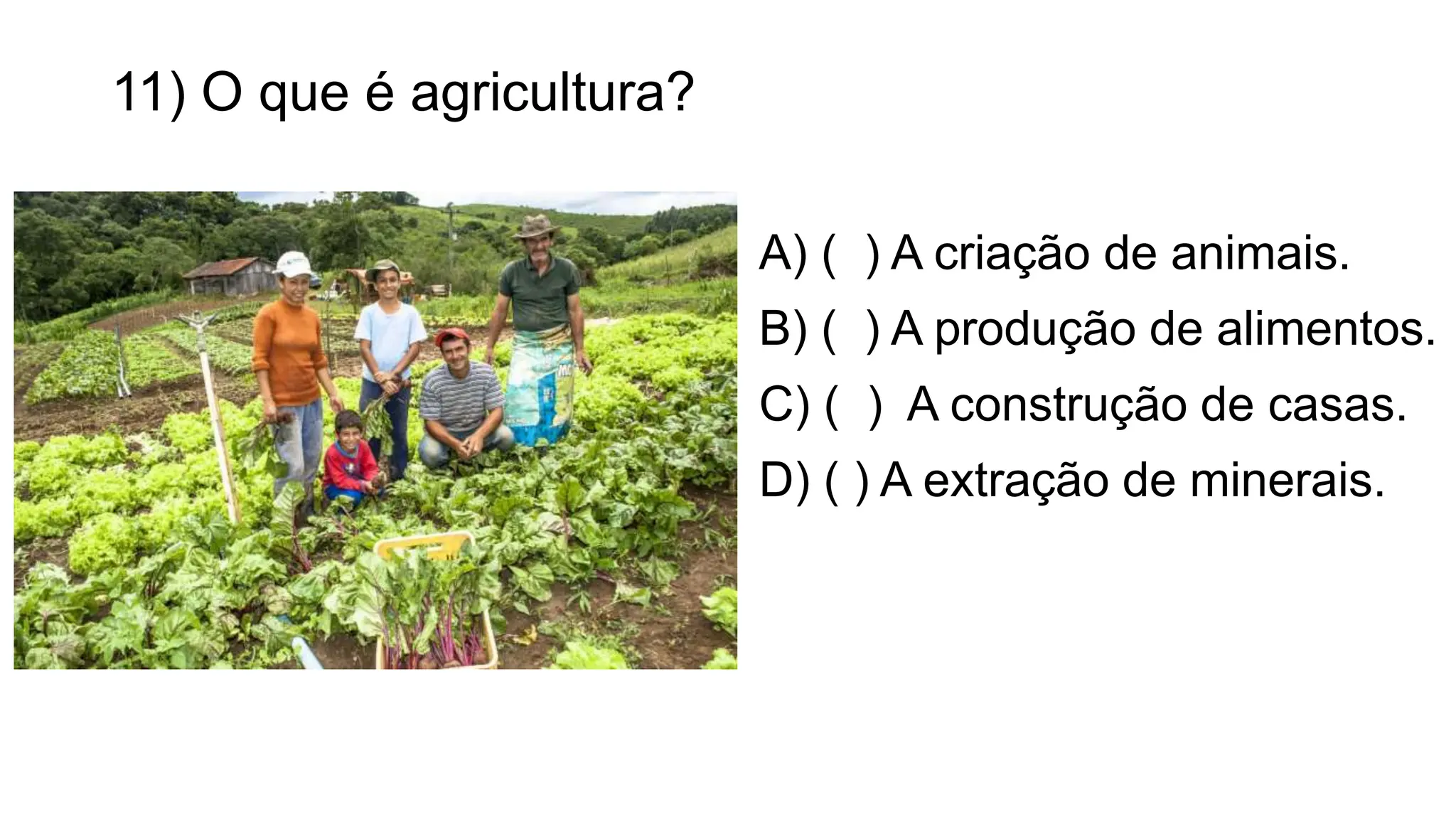 11) O que é agricultura?
A) ( ) A criação de animais.
B) ( ) A produção de alimentos.
C) ( ) A construção de casas.
D) ( ) A extração de minerais.
 