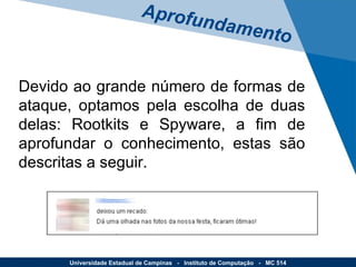Devido ao grande número de formas de ataque, optamos pela escolha de duas delas: Rootkits e Spyware, a fim de aprofundar o conhecimento, estas são descritas a seguir. Aprofundamento Universidade Estadual de Campinas  -  Instituto de Computação  -  MC 514 