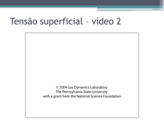 Tensão superficial – vídeo 2
 
