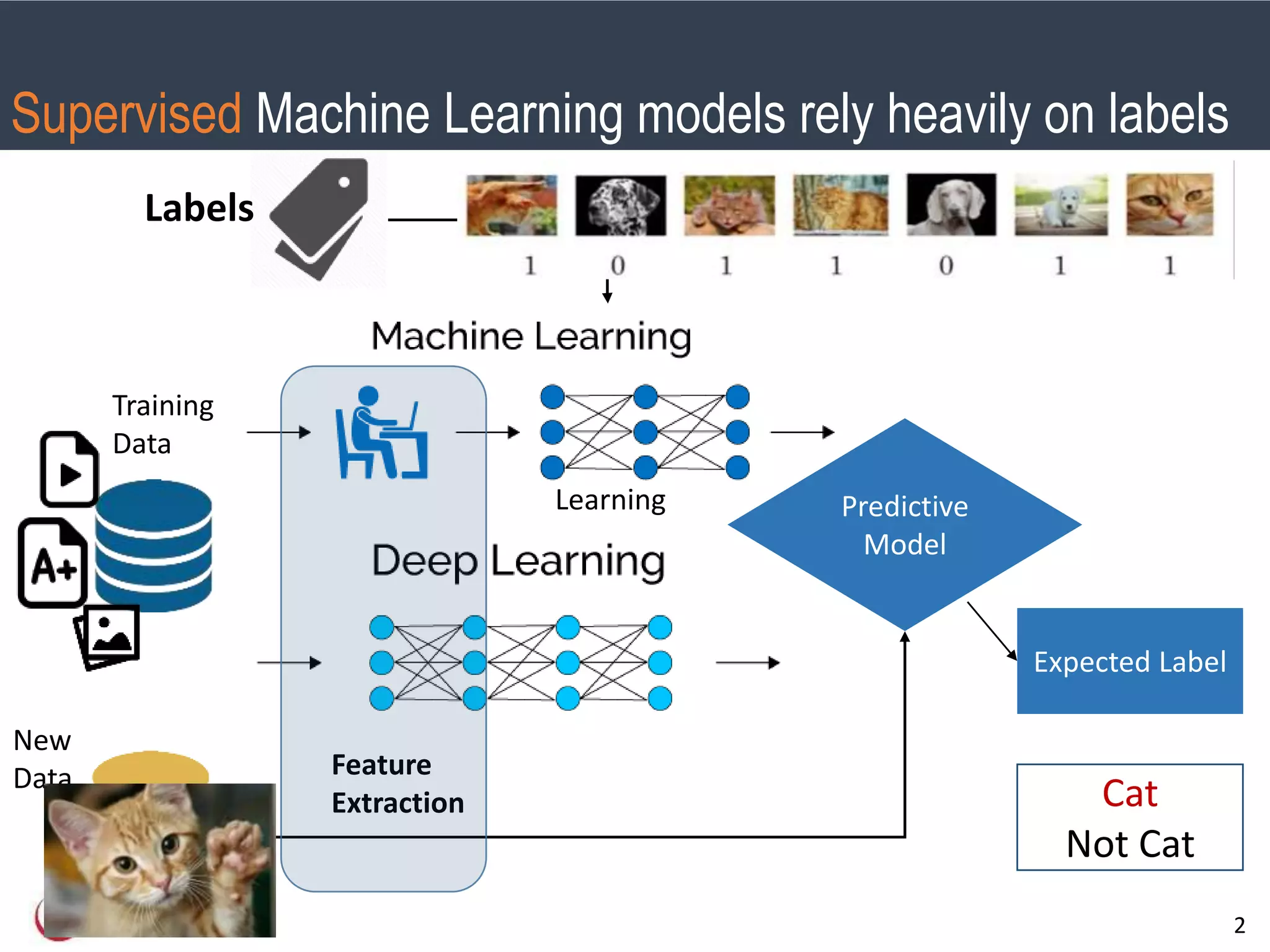SMU Classification: Restricted
2
Supervised Machine Learning models rely heavily on labels
Labels
Predictive
Model
Feature
Extraction
Learning
Expected Label
Training
Data
New
Data
Cat
Not Cat
 