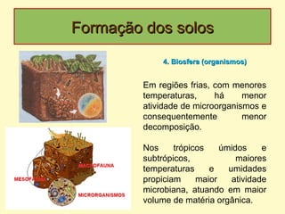 Formação dos solosFormação dos solos
Em regiões frias, com menores
temperaturas, há menor
atividade de microorganismos e
consequentemente menor
decomposição.
Nos trópicos úmidos e
subtrópicos, maiores
temperaturas e umidades
propiciam maior atividade
microbiana, atuando em maior
volume de matéria orgânica.
4. Biosfera (organismos)4. Biosfera (organismos)
 