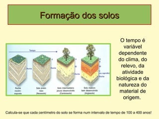 Formação dos solosFormação dos solos
Calcula-se que cada centímetro do solo se forma num intervalo de tempo de 100 a 400 anos!
O tempo é
variável
dependente
do clima, do
relevo, da
atividade
biológica e da
natureza do
material de
origem.
 