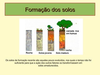 Formação dos solosFormação dos solos
Os solos de formação recente são aqueles pouco evoluídos, nos quais o tempo não foi
suficiente para que a ação dos outros fatores os transformassem em
solos amadurecidos.
 