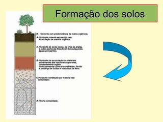 Formação dos solosFormação dos solos
 