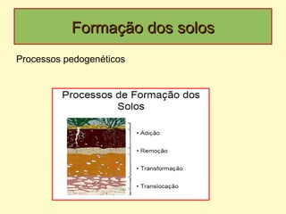 Formação dos solosFormação dos solos
Processos pedogenéticos
 