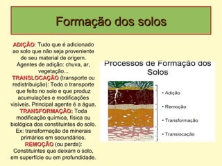 Formação dos solosFormação dos solos
ADIÇÃOADIÇÃO: Tudo que é adicionado
ao solo que não seja proveniente
de seu material de origem.
Agentes de adição: chuva, ar,
vegetação...
TRANSLOCAÇÃOTRANSLOCAÇÃO (transporte ou
redistribuição): Todo o transporte
que feito no solo e que produz
acumulações e modificações
visíveis. Principal agente é a água.
TRANSFORMAÇÃO:TRANSFORMAÇÃO: Toda
modificação química, física ou
biológica dos constituintes do solo.
Ex: transformação de minerais
primários em secundários.
REMOÇÃOREMOÇÃO (ou perda):
Constituintes que deixam o solo,
em superfície ou em profundidade.
 