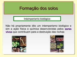 Formação dos solosFormação dos solos
Intemperismo biológico
Não há propriamente dito um intemperismo biológico e
sim a ação física e química desenvolvidas pelos seresseres
vivosvivos que contribuem para a destruição das rochas
 