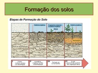 Formação dos solosFormação dos solos
 