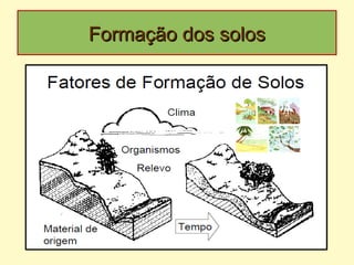Formação dos solosFormação dos solos
 
