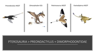 PTEROSAURIA > PREONDACTYLUS + DIMORPHODONTIDAE
Dimorphodon EOJ
Preondactylus NEOT Peteinosaurus NEOT Faxinalipterus NEOT
 