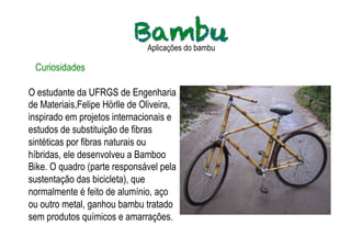 Aplicações do bambu

 Curiosidades

O estudante da UFRGS de Engenharia
de Materiais,Felipe Hörlle de Oliveira,
inspirado em projetos internacionais e
estudos de substituição de fibras
sintéticas por fibras naturais ou
híbridas, ele desenvolveu a Bamboo
Bike. O quadro (parte responsável pela
sustentação das bicicleta), que
normalmente é feito de alumínio, aço
ou outro metal, ganhou bambu tratado
sem produtos químicos e amarrações.
 