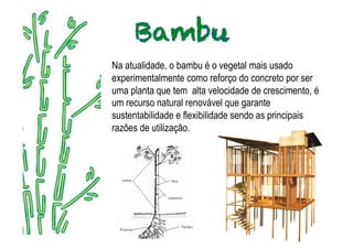 Na atualidade, o bambu é o vegetal mais usado
experimentalmente como reforço do concreto por ser
uma planta que tem alta velocidade de crescimento, é
um recurso natural renovável que garante
sustentabilidade e flexibilidade sendo as principais
razões de utilização.
 