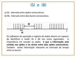 ISI e IBI
a) ISI, Intervalo entre spikes consecutivos;
b) IBI, Intervalo entre dois bursts consecutivos.

Os softwares de aquisição e registro de dados devem ser capazes
de identificar e medir ISI e IBI nos sinais registrados. A
importância em estudar os spikes é que a informação está
contida nos spikes e no atraso entre dois spikes consecutivos.
Também existe informação relevante no intervalo de tempo
entre os bursts.

 