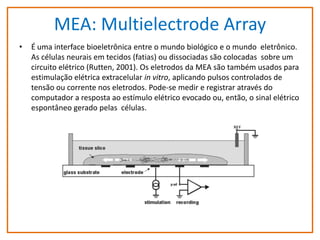 MEA: Multielectrode Array
•

É uma interface bioeletrônica entre o mundo biológico e o mundo eletrônico.
As células neurais em tecidos (fatias) ou dissociadas são colocadas sobre um
circuito elétrico (Rutten, 2001). Os eletrodos da MEA são também usados para
estimulação elétrica extracelular in vitro, aplicando pulsos controlados de
tensão ou corrente nos eletrodos. Pode-se medir e registrar através do
computador a resposta ao estímulo elétrico evocado ou, então, o sinal elétrico
espontâneo gerado pelas células.

 