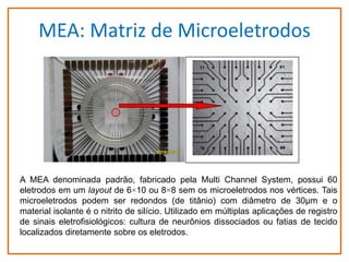 MEA: Matriz de Microeletrodos

A MEA denominada padrão, fabricado pela Multi Channel System, possui 60
eletrodos em um layout de 6×10 ou 8×8 sem os microeletrodos nos vértices. Tais
microeletrodos podem ser redondos (de titânio) com diâmetro de 30µm e o
material isolante é o nitrito de silício. Utilizado em múltiplas aplicações de registro
de sinais eletrofisiológicos: cultura de neurônios dissociados ou fatias de tecido
localizados diretamente sobre os eletrodos.

 