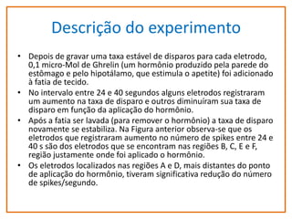 Descrição do experimento
• Depois de gravar uma taxa estável de disparos para cada eletrodo,
0,1 micro-Mol de Ghrelin (um hormônio produzido pela parede do
estômago e pelo hipotálamo, que estimula o apetite) foi adicionado
à fatia de tecido.
• No intervalo entre 24 e 40 segundos alguns eletrodos registraram
um aumento na taxa de disparo e outros diminuíram sua taxa de
disparo em função da aplicação do hormônio.
• Após a fatia ser lavada (para remover o hormônio) a taxa de disparo
novamente se estabiliza. Na Figura anterior observa-se que os
eletrodos que registraram aumento no número de spikes entre 24 e
40 s são dos eletrodos que se encontram nas regiões B, C, E e F,
região justamente onde foi aplicado o hormônio.
• Os eletrodos localizados nas regiões A e D, mais distantes do ponto
de aplicação do hormônio, tiveram significativa redução do número
de spikes/segundo.

 