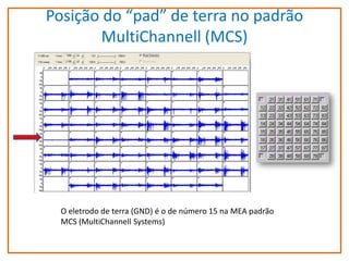 Posição do “pad” de terra no padrão
MultiChannell (MCS)

fr

O eletrodo de terra (GND) é o de número 15 na MEA padrão
MCS (MultiChannell Systems)

 