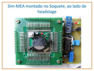 Sim-MEA montado no Soquete, ao lado de
headstage

 