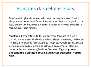 Funções das células gliais
• As células da glia são capazes de modificar os sinais nas fendas
sinápticas entre os neurônios, fornecem nutriente e oxigênio para
eles, isolam um neurônio do outro, destroem germes invasores e
removem células mortas.
• Mantêm a homeostase do tecido nervoso, formam mielina e
participam na transmissão de sinais no sistema nervoso, podendo
influenciar o local da formação das sinapses. Podem ser essenciais
para o aprendizado e para a construção da memória, além de
importantes na recuperação de lesões neurológicas, porém
prejudicam o a captação dos sinais elétricos quando in-vitro na
MEA.

 