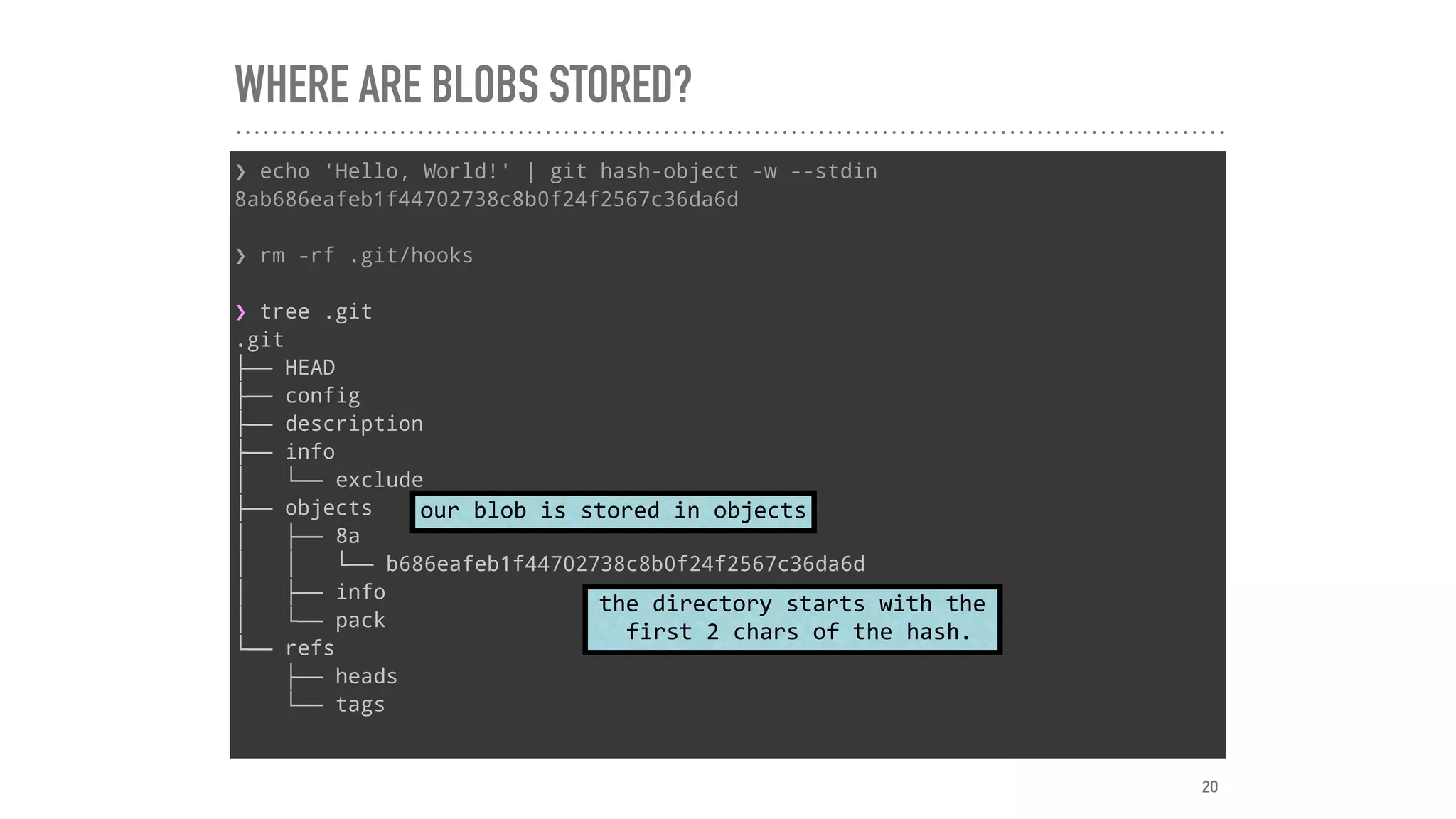 WHERE ARE BLOBS STORED?
❯ echo 'Hello, World!' | git hash-object -w --stdin
8ab686eafeb1f44702738c8b0f24f2567c36da6d
❯ rm -rf .git/hooks
❯ tree .git
.git
├── HEAD
├── config
├── description
├── info
│   └── exclude
├── objects
│   ├── 8a
│   │   └── b686eafeb1f44702738c8b0f24f2567c36da6d
│   ├── info
│   └── pack
└── refs
├── heads
└── tags
our	blob	is	stored	in	objects
the	directory	starts	with	the	
	first	2	chars	of	the	hash.
20
 