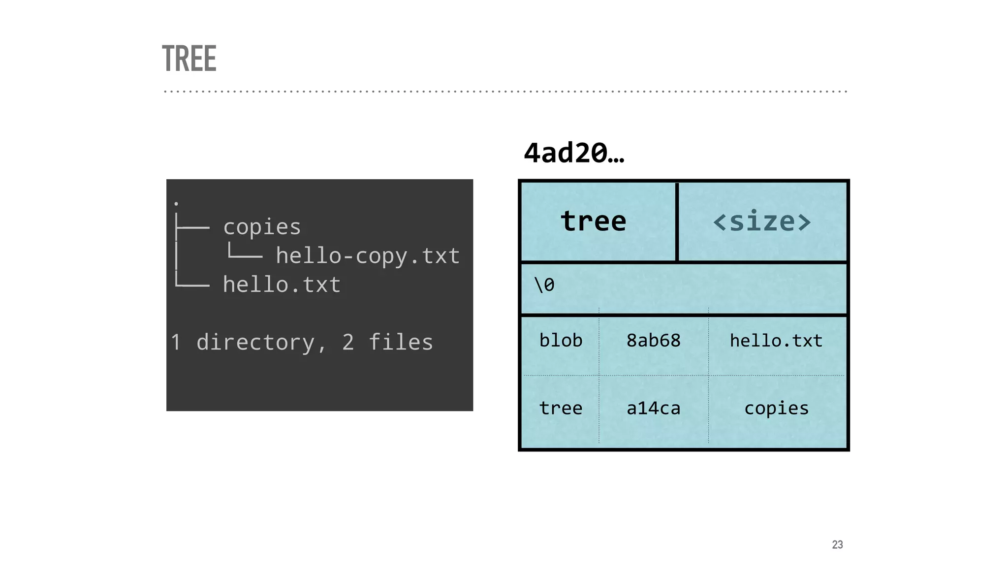 TREE
.
├── copies
│   └── hello-copy.txt
└── hello.txt
1 directory, 2 files
tree <size>
blob 8ab68 hello.txt
tree a14ca copies
4ad20…
0
23
 