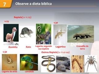 7            Observe a dieta bíblica


            Repteis(Lv 11.29)
  v.29
                                                    v.30




       Doninha         Rato      Lagarto, segundo    Lagartixa      Crocodilo da
                                    sua espécie                        terra
v.30                                  Outros Repteis(Lv 11.41-44)




Lagarto da areia      camaleão
 