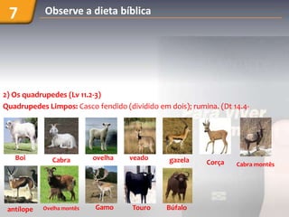 7          Observe a dieta bíblica




2) Os quadrupedes (Lv 11.2-3)
Quadrupedes Limpos: Casco fendido (dividido em dois); rumina. (Dt 14.4-




   Boi         Cabra        ovelha   veado     gazela     Corça    Cabra montês




 antílope   Ovelha montês   Gamo     Touro     Búfalo
 
