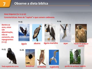 7              Observe a dieta bíblica

   Aves Impuras (Lv 11.13-19)
   Características: Aves de “rapina” e que comem cadáveres.

                    11.13                                     11.14
Dentre as
aves, estas
são
abominação,
não as
comereis, são
repugnantes:
(11.13)
                         águia         abutre   águia marinha         açor        Falcão de qualquer
                                                                                       espécie

11.15                   11.16




Toda espécie de corvo           avestruz   o mocho   a gaivota         gavião de qualquer espécie
 