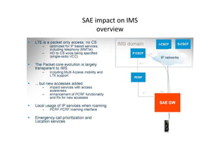 SAE impact on IMS
     overview
 
