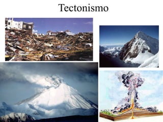 Tectonismo
 