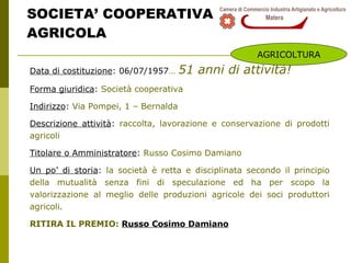 SOCIETA’ COOPERATIVA AGRICOLA Data di costituzione : 06/07/1957 …   51 anni di attività! Forma giuridica :  Società cooperativa Indirizzo :  Via Pompei, 1 – Bernalda Descrizione attività :  raccolta, lavorazione e conservazione di prodotti agricoli Titolare o Amministratore :  Russo Cosimo Damiano  Un po’ di storia :  la società è retta e disciplinata secondo il principio della mutualità senza fini di speculazione ed ha per scopo la valorizzazione al meglio delle produzioni agricole dei soci produttori agricoli. RITIRA IL PREMIO:  Russo Cosimo Damiano AGRICOLTURA 