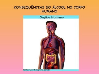 CONSEQUÊNCIAS DO ÁLCOOL NO CORPO
            HUMANO
 
