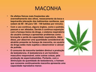 MACONHA
•   Os efeitos físicos mais freqüentes são
    avermelhamento dos olhos, ressecamento da boca e
    taquicardia (elevação dos batimentos cardíacos, que
    sobem de 60 - 80 para 120 - 140 batidas por minuto).
•   Com o uso contínuo, alguns órgãos, como o pulmão,
    passam a ser afetados. Devido à contínua exposição
    com a fumaça tóxica da droga, o sistema respiratório
    do usuário começa a apresentar problemas como
    bronquite e perda da capacidade respiratória. Além
    disso, por absorver uma quantidade considerável de
    alcatrão presente na fumaça de maconha, os usuários
    da droga estão mais sujeitos a desenvolver o câncer
    de pulmão.
•   O consumo da maconha também diminui a produção
    de testosterona. A testosterona é um hormônio
    masculino responsável, entre outras coisas, pela
    produção de espermatozóides. Portanto, com a
    diminuição da quantidade de testosterona, o homem
    que consome continuamente maconha apresenta uma
    capacidade reprodutiva menor.
 